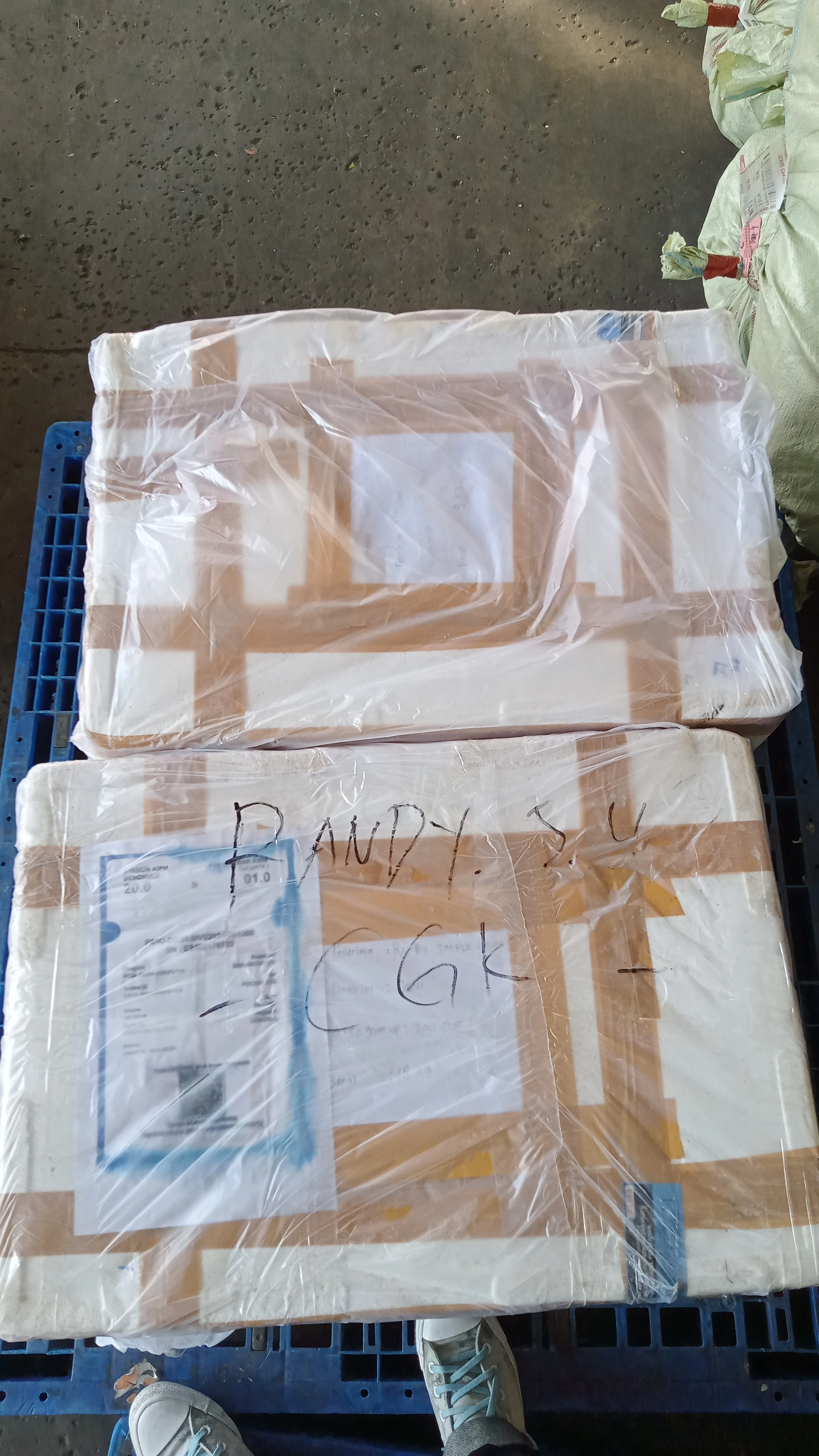 Melayani Jasa Pengambilan Barang Domestik